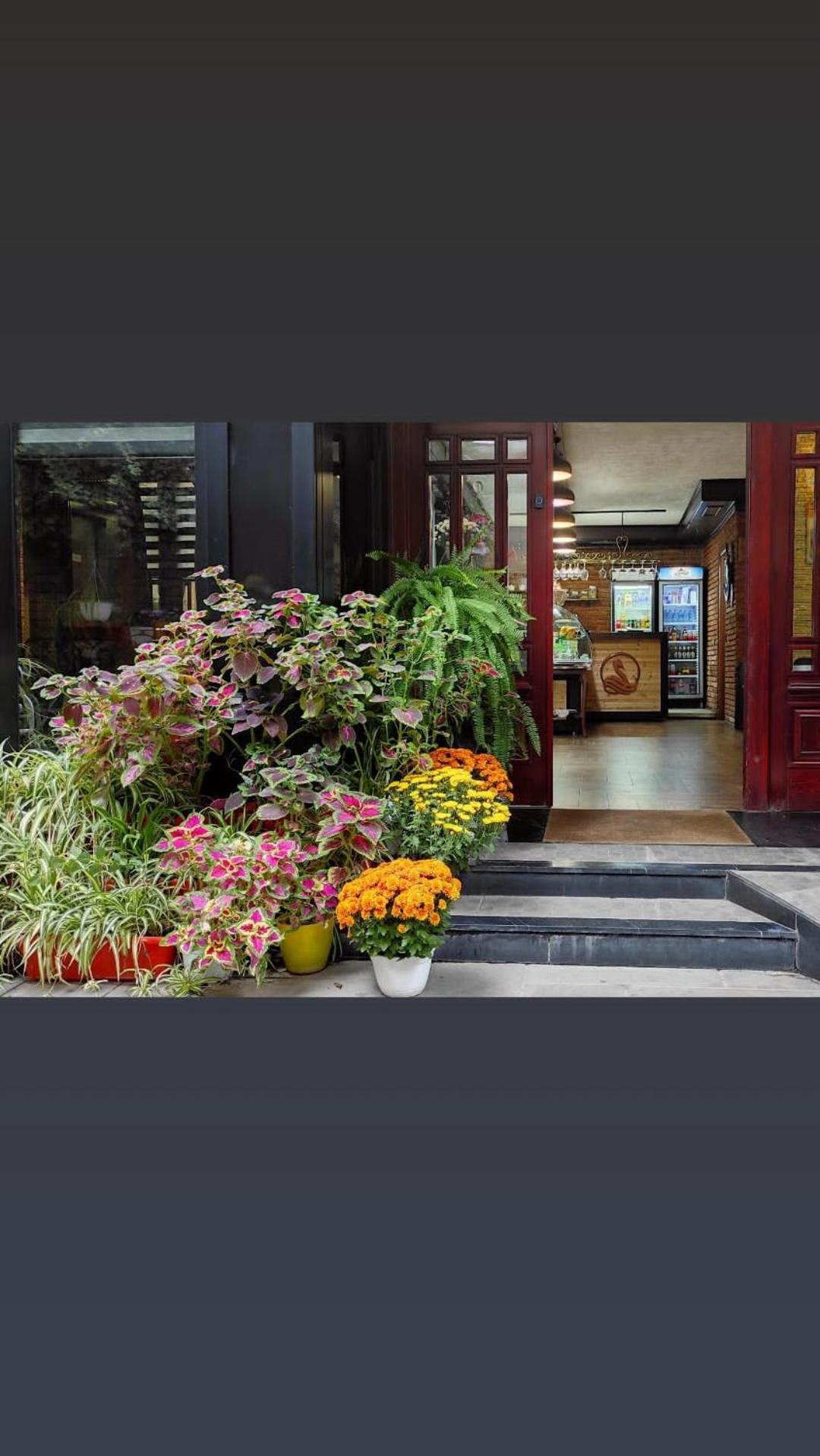 Hotel Livia Tirana Kültér fotó